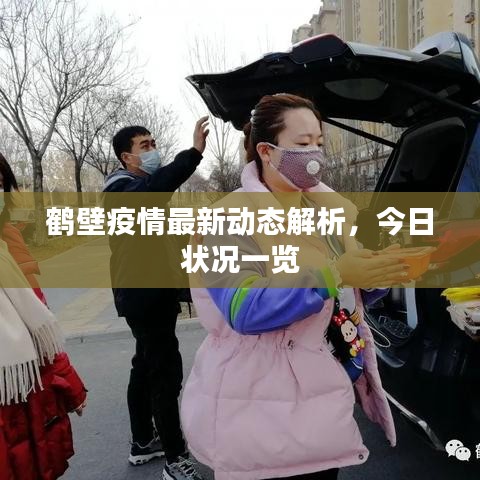 鹤壁疫情最新动态解析，今日状况一览