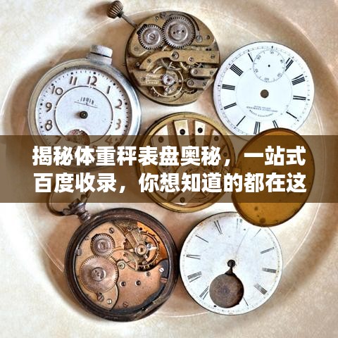 揭秘体重秤表盘奥秘，一站式百度收录，你想知道的都在这里！