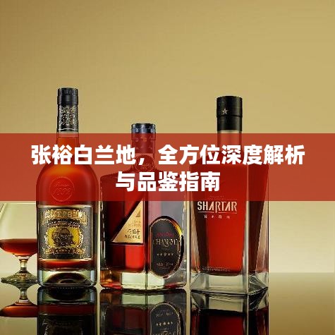 张裕白兰地，全方位深度解析与品鉴指南