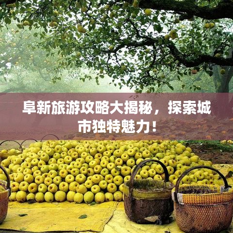阜新旅游攻略大揭秘，探索城市独特魅力！