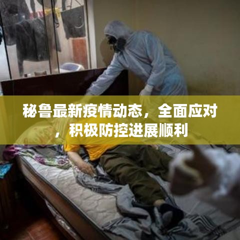 秘鲁最新疫情动态，全面应对，积极防控进展顺利