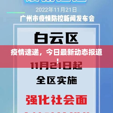疫情速递，今日最新动态报道！