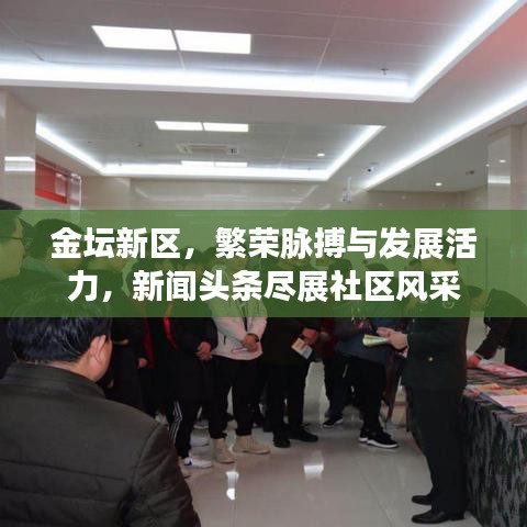 金坛新区，繁荣脉搏与发展活力，新闻头条尽展社区风采