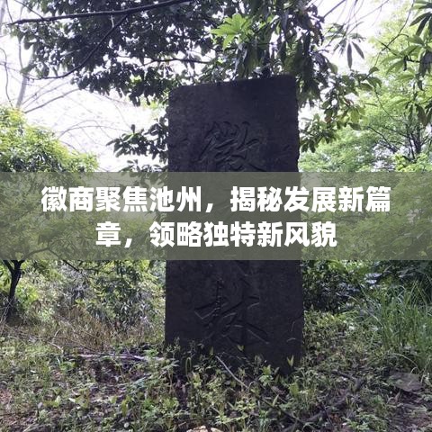 徽商聚焦池州，揭秘发展新篇章，领略独特新风貌