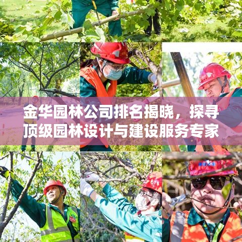 金华园林公司排名揭晓，探寻顶级园林设计与建设服务专家