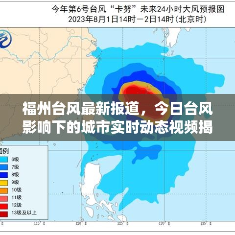 福州台风最新报道，今日台风影响下的城市实时动态视频揭秘