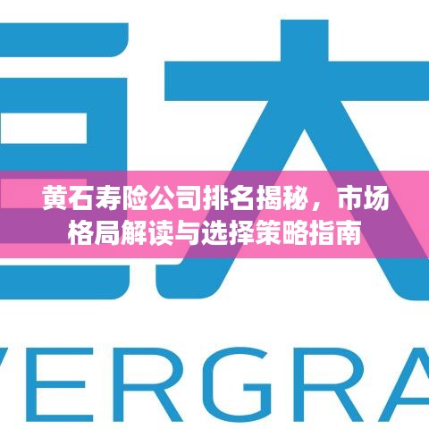 黄石寿险公司排名揭秘，市场格局解读与选择策略指南