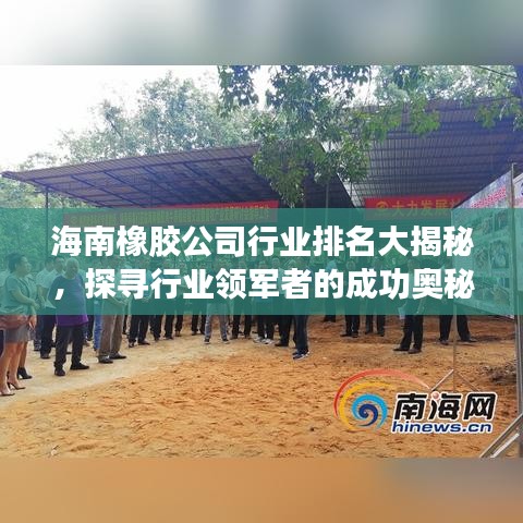 海南橡胶公司行业排名大揭秘，探寻行业领军者的成功奥秘！