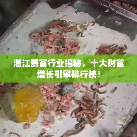 湛江暴富行业揭秘，十大财富增长引擎排行榜！
