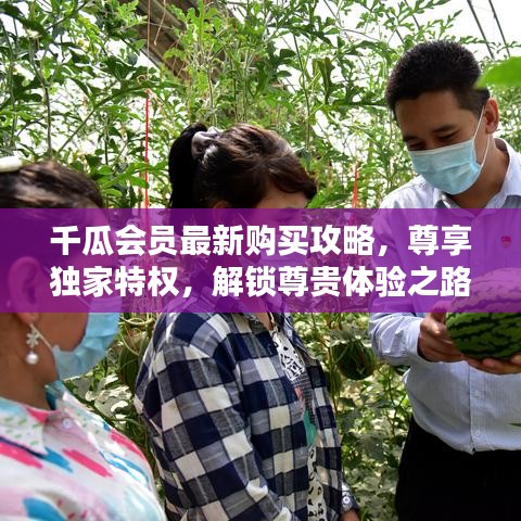 千瓜会员最新购买攻略，尊享独家特权，解锁尊贵体验之路