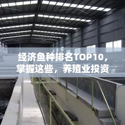 经济鱼种排名TOP10，掌握这些，养殖业投资更有信心！