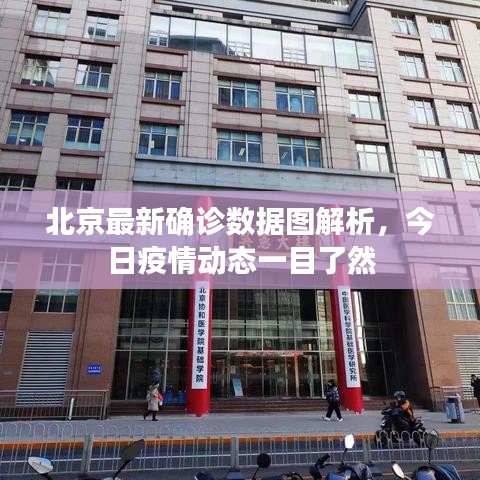 北京最新确诊数据图解析，今日疫情动态一目了然