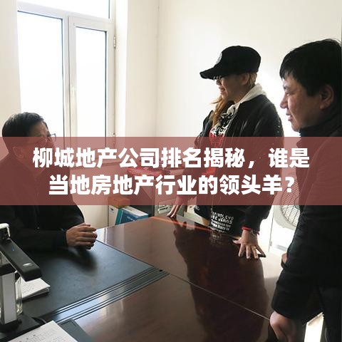柳城地产公司排名揭秘，谁是当地房地产行业的领头羊？