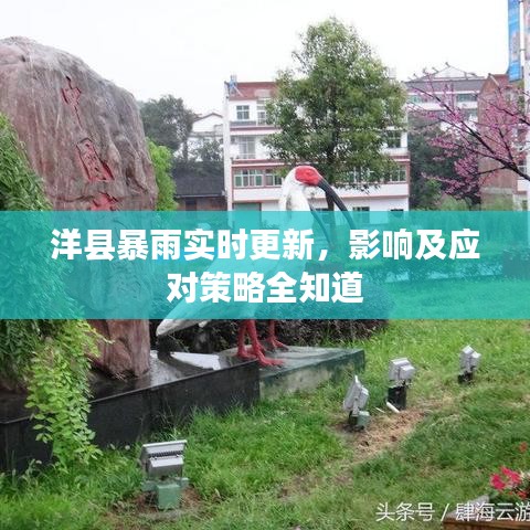 洋县暴雨实时更新，影响及应对策略全知道