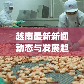 越南最新新闻动态与发展趋势探索