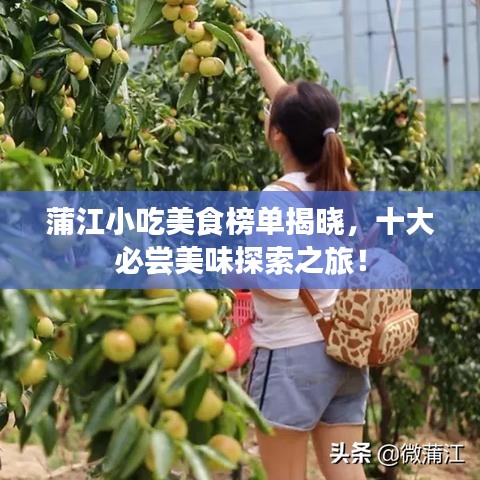 蒲江小吃美食榜单揭晓，十大必尝美味探索之旅！