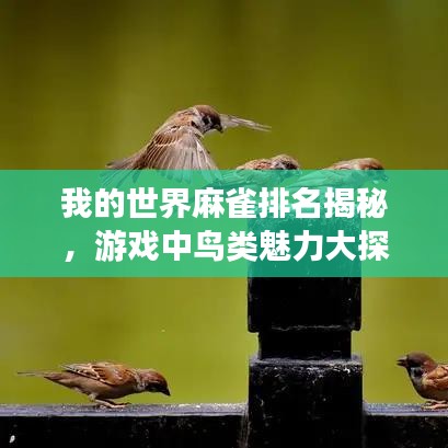我的世界麻雀排名揭秘，游戏中鸟类魅力大探索
