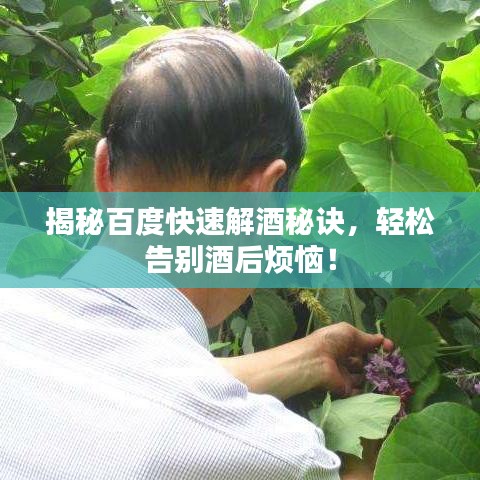 揭秘百度快速解酒秘诀，轻松告别酒后烦恼！