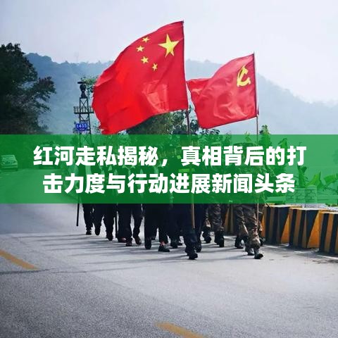 红河走私揭秘，真相背后的打击力度与行动进展新闻头条