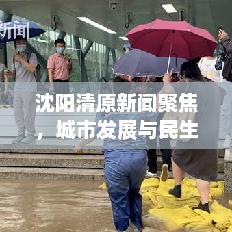 沈阳清原新闻聚焦，城市发展与民生改善同步前行