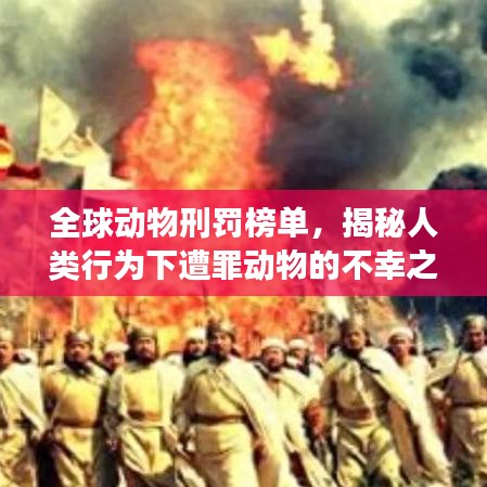 全球动物刑罚榜单，揭秘人类行为下遭罪动物的不幸之旅