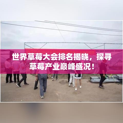世界草莓大会排名揭晓，探寻草莓产业巅峰盛况！