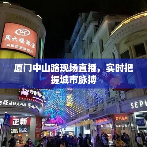 厦门中山路现场直播，实时把握城市脉搏