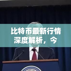 比特币最新行情深度解析，今日指数走势揭秘