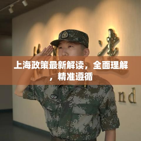 上海政策最新解读，全面理解，精准遵循