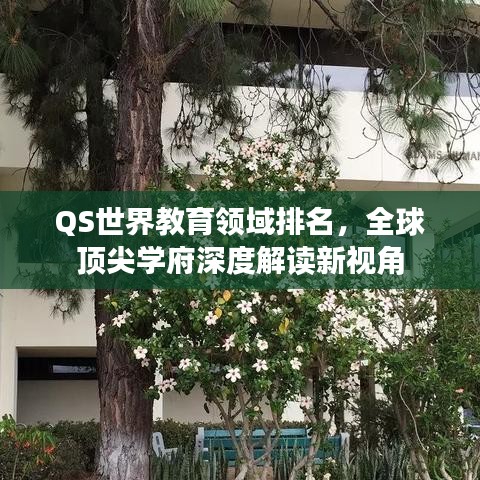 QS世界教育领域排名，全球顶尖学府深度解读新视角