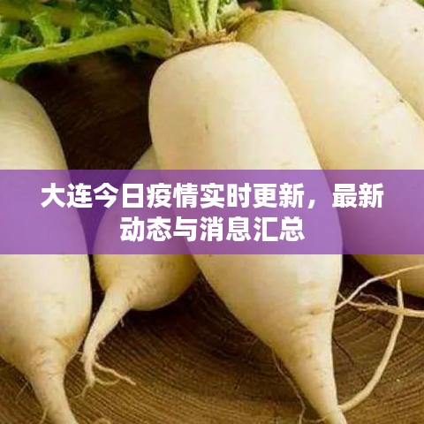 大连今日疫情实时更新，最新动态与消息汇总