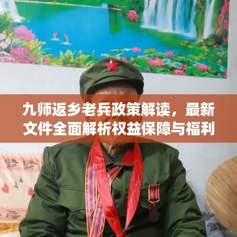 九师返乡老兵政策解读，最新文件全面解析权益保障与福利待遇