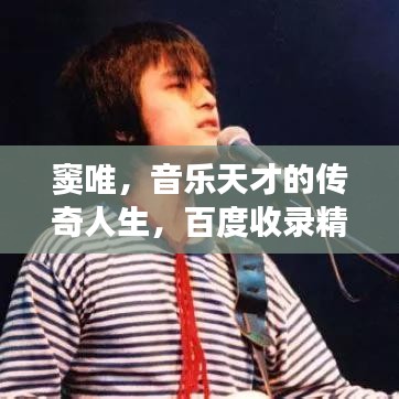 窦唯，音乐天才的传奇人生，百度收录精彩呈现！