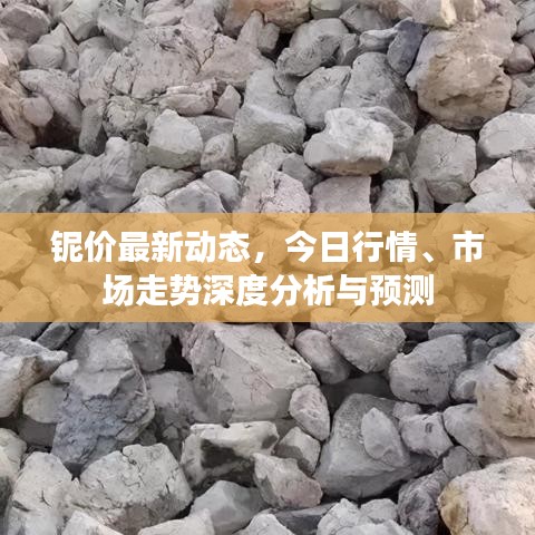 铌价最新动态，今日行情、市场走势深度分析与预测
