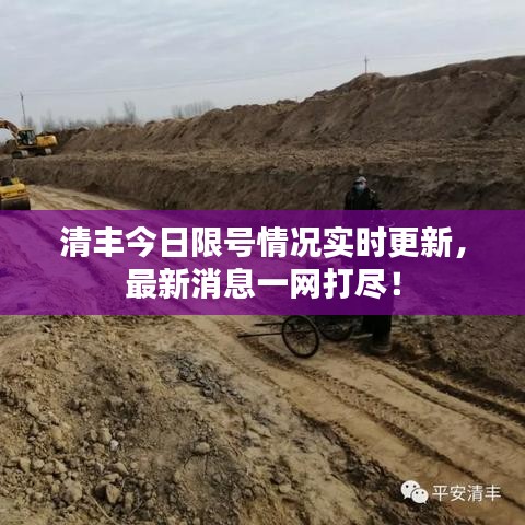清丰今日限号情况实时更新，最新消息一网打尽！