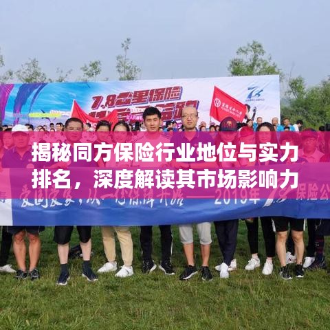 揭秘同方保险行业地位与实力排名，深度解读其市场影响力