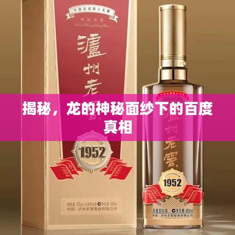 揭秘，龙的神秘面纱下的百度真相