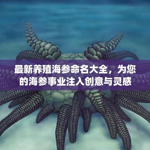 最新养殖海参命名大全，为您的海参事业注入创意与灵感