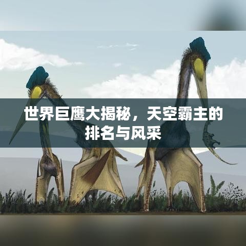 世界巨鹰大揭秘，天空霸主的排名与风采