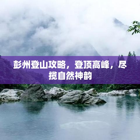 2025年6月16日 第8页