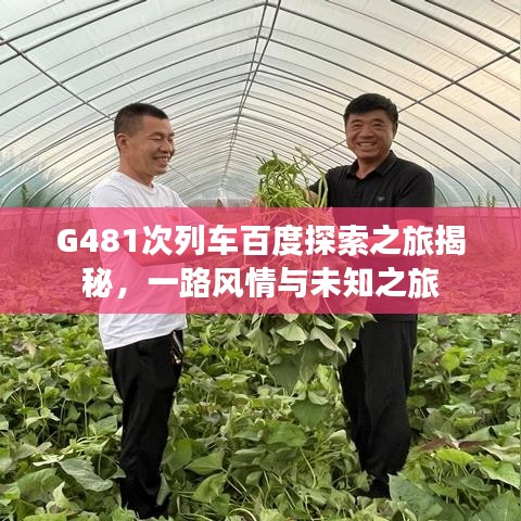 G481次列车百度探索之旅揭秘，一路风情与未知之旅