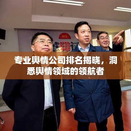 专业舆情公司排名揭晓，洞悉舆情领域的领航者