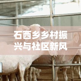 石西乡乡村振兴与社区新风貌新闻速递