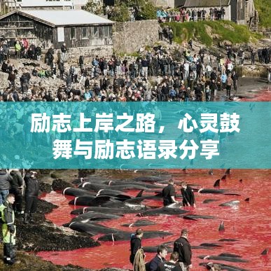 励志上岸之路，心灵鼓舞与励志语录分享