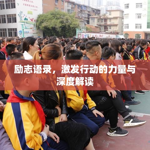励志语录，激发行动的力量与深度解读