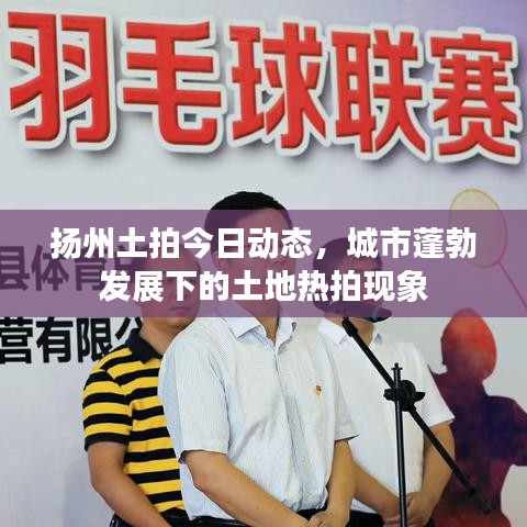 扬州土拍今日动态，城市蓬勃发展下的土地热拍现象
