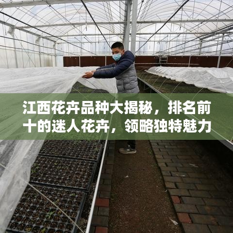 江西花卉品种大揭秘，排名前十的迷人花卉，领略独特魅力！