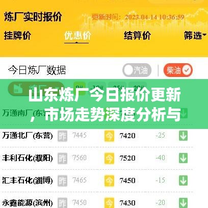 山东炼厂今日报价更新，市场走势深度分析与预测报告