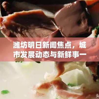 2025年6月16日 第12页