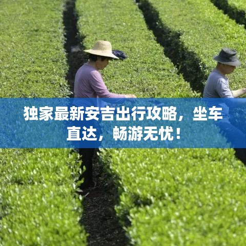 独家最新安吉出行攻略，坐车直达，畅游无忧！